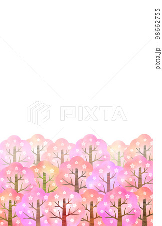 桜の木の森 桜の木の森 98662755