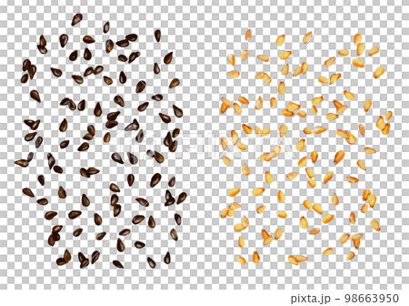 白芝麻 黑芝麻 98663950