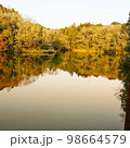 自然の中にある湖 98664579
