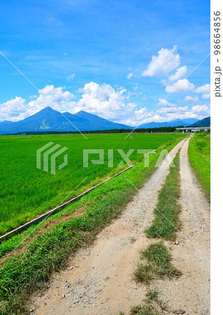 夏の会津磐梯山（福島県） 98664856