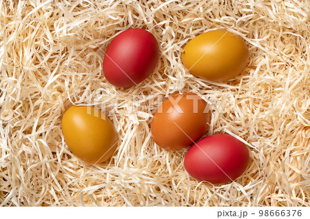 Colorful Easter eggs in a nest of wood wool, from above. Paschal eggs, hard boiled colorful dyed chicken eggs, in a soft bed of wood slivers, cut from logs, used for Easter egg hunt during Eastertide. 98666376
