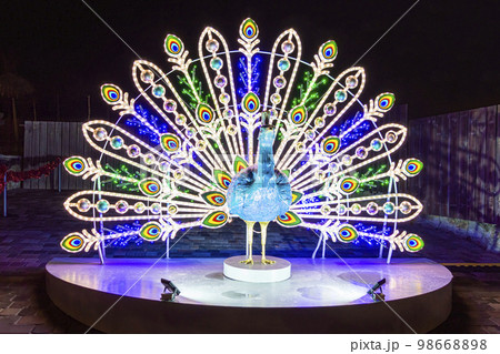 luminous peacock sculpture at night in the logo park luminous peacock sculpture at night in the logo park 98668898