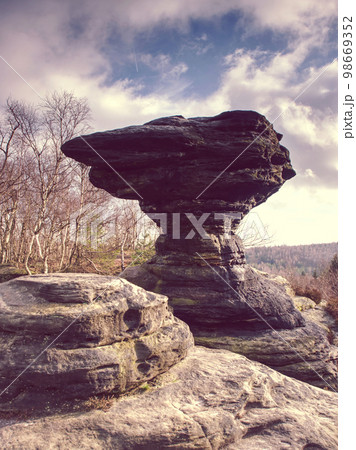 Popular mushroom icon of rocky formation in Tisa Rocks. Czech Republic 98669352