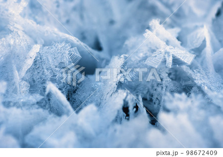 Beautiful ice crystals during frosts. Macro shot of hoarfrost patterns. Snowflakes close-up, Shallow depth of field. 98672409