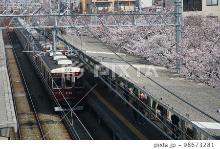 桜のシーズンの阪急武庫之荘駅と、7000系特急車両 98673281