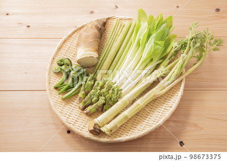 春野菜　山菜　集合 98673375