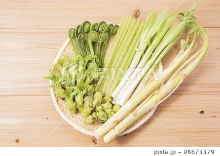 春野菜 山菜 集合 春野菜 山菜 集合 98673379
