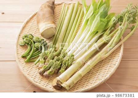 春野菜 山菜 集合 春野菜 山菜 集合 98673381