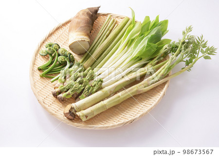 春野菜 山菜 集合 春野菜 山菜 集合 98673567