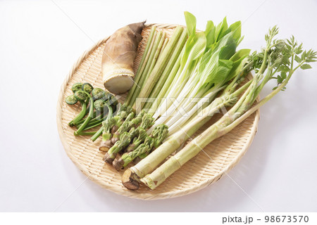 春野菜 山菜 集合 春野菜 山菜 集合 98673570