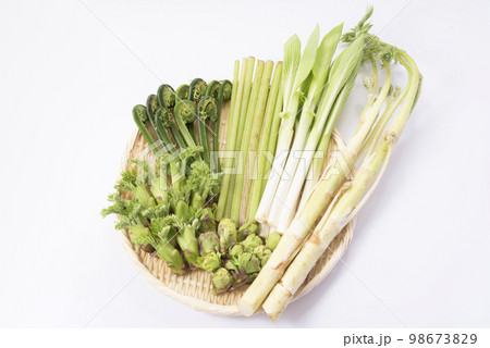 春野菜 山菜 集合 春野菜 山菜 集合 98673829