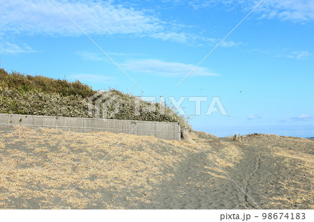 平塚市　砂浜 98674183