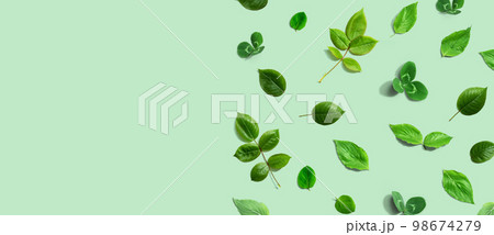 Green leaf border design background Green leaf border design background 98674279