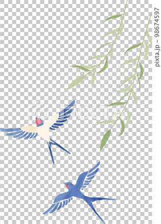 Swallow and willow illustration 98674597