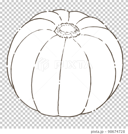 Summer vegetable pumpkin monochrome line drawing Summer vegetable pumpkin monochrome line drawing 98674728