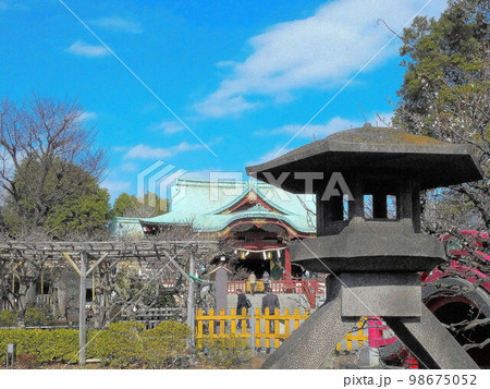 東京 早春 亀戸天神 学問の神様 東京 早春 亀戸天神 学問の神様 98675052
