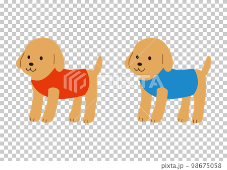 狗(小狗)穿狗衣服(狗穿) 狗(小狗)穿狗衣服(狗穿) 98675058