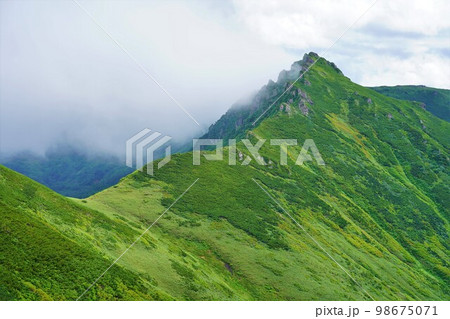 ニセイカウシュッペ山のアンギラス 98675071