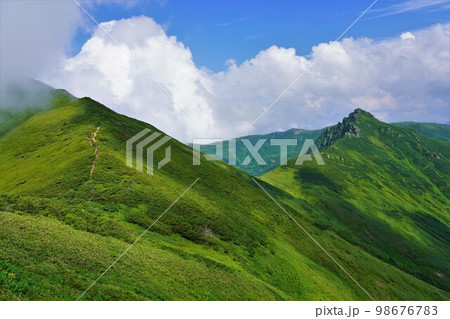 ニセイカウシュッペ山の登山道とアンギラス 98676783