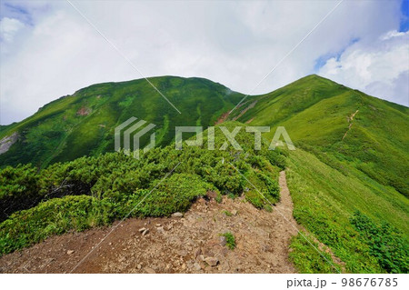 登山道からのニセイカウシュッペ山頂 登山道からのニセイカウシュッペ山頂 98676785