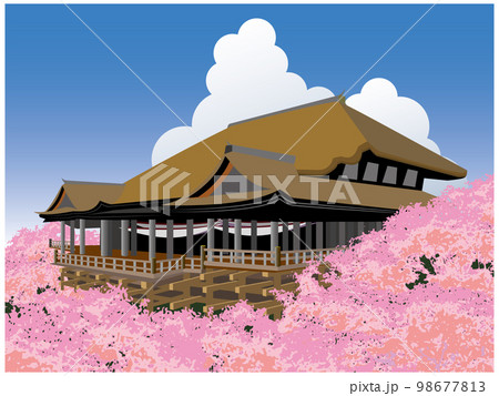 京都清水寺の桜 京都清水寺の桜 98677813