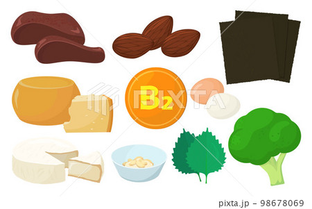 ビタミンB2を含む食品のベクターイラスト。 ビタミンB2を含む食品のベクターイラスト。 98678069