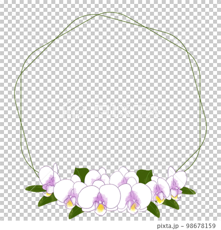 Phalaenopsis cute watercolor illustration frame material 98678159