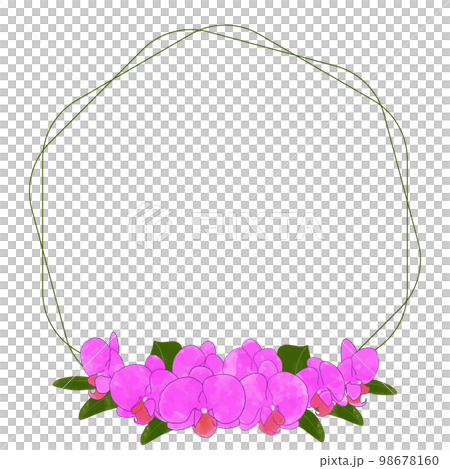 Cute watercolor illustration frame material of pink Phalaenopsis orchid 98678160