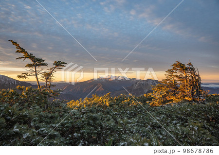 快晴の下で初冬の西穂高岳から見る乗鞍岳 朝焼けで染まる北アルプスの山々 快晴の下で初冬の西穂高岳から見る乗鞍岳 朝焼けで染まる北アルプスの山々 98678786