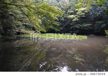 伊勢神宮、いせじんぐう、日本、三重県、伊勢、神社、神宮、じんぐう、天照坐皇大御神、あまてらしますすめ 伊勢神宮、いせじんぐう、日本、三重県、伊勢、神社、神宮、じんぐう、天照坐皇大御神、あまてらしますすめ 98679048