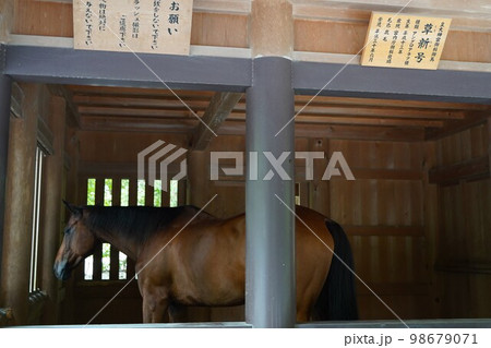 伊勢神宮、いせじんぐう、日本、三重県、伊勢、神社、神宮、じんぐう、天照坐皇大御神、あまてらしますすめ 伊勢神宮、いせじんぐう、日本、三重県、伊勢、神社、神宮、じんぐう、天照坐皇大御神、あまてらしますすめ 98679071