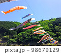 一列に並ぶ鯉のぼり 98679129