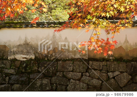 吉香公園の紅葉 98679986