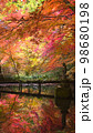 紅葉の池 98680198