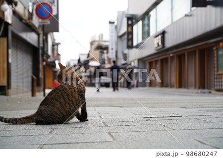 おかげ横丁、町、商店街、古風、土産屋、おみやげ屋、お店、夏、建築、日本建築、古い、建物、通り、伝統、 98680247