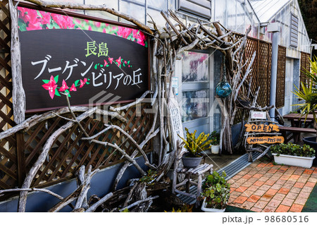 長島ブーゲンビリアの丘 98680516