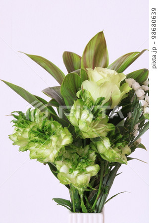 緑色のバラ 98680639