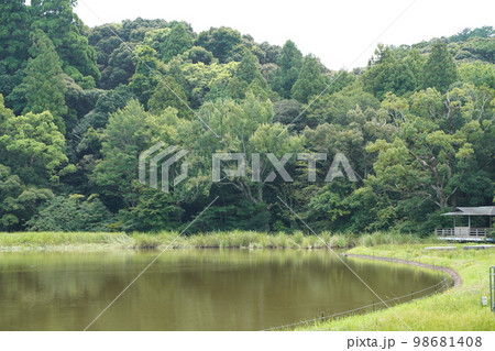 伊勢神宮、外宮、いせじんぐう、日本、三重県、伊勢、神社、神宮、じんぐう、豊受大御神、とようけのおおみ 伊勢神宮、外宮、いせじんぐう、日本、三重県、伊勢、神社、神宮、じんぐう、豊受大御神、とようけのおおみ 98681408