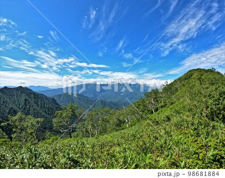 ニセイカウシュッペ山の登山道と大雪山の山々 ニセイカウシュッペ山の登山道と大雪山の山々 98681884