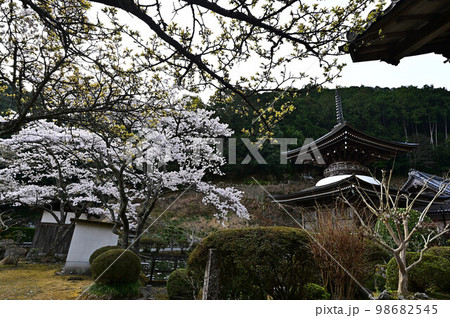 春の丹波篠山 春の丹波篠山 98682545