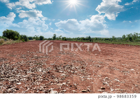 Empty dry cracked swamp reclamation soil, land plot for housing construction project with car tire print in rural area and beautiful blue sky with fresh air Land for sales landscape concept 98683359