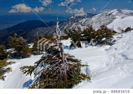残雪の北アルプス・蝶ヶ岳と安曇野の眺め 98683659