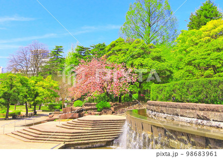 新緑の勾当台公園 98683961