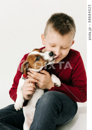 boy playing thoroughbred jack russell white background 98684025
