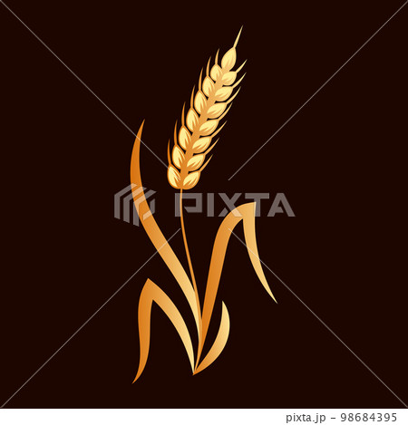Spikelets of wheat, rye, barley, golden design.のイラスト素材