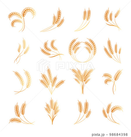 Set of logos from spikelets of wheat, rye, barley, golden design. Decor elements, icons, vector 98684398