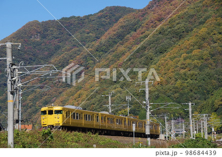 伯備線 備中広瀬付近 普通列車115系 伯備線 備中広瀬付近 普通列車115系 98684439