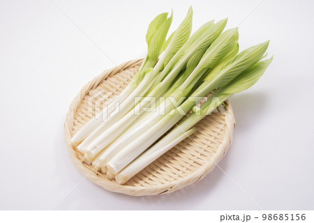 うるい　ざる 98685156