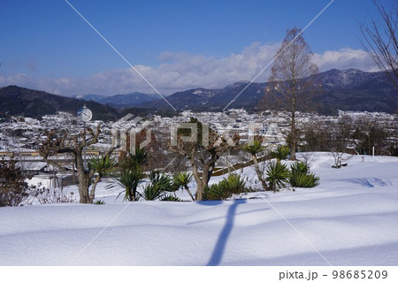 岡山県津山市にある公共公園「グリーンヒルズ津山」:雪景色 岡山県津山市にある公共公園「グリーンヒルズ津山」:雪景色 98685209