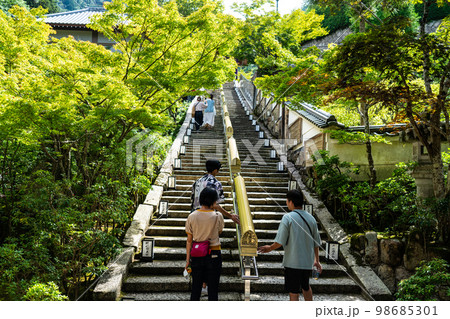 【中国三十三観音霊場】第十四番　大聖院の緑に囲まれた参道の石段　広島県廿日市市 98685301